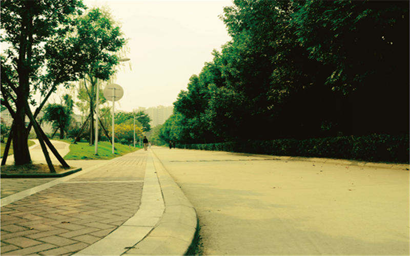 四川文化产业职业学院校园风景