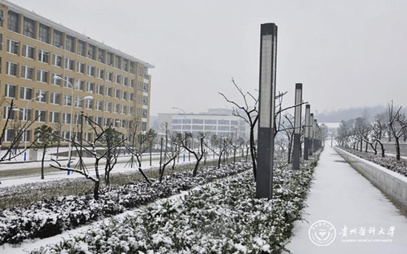 贵州医科大学校园风景