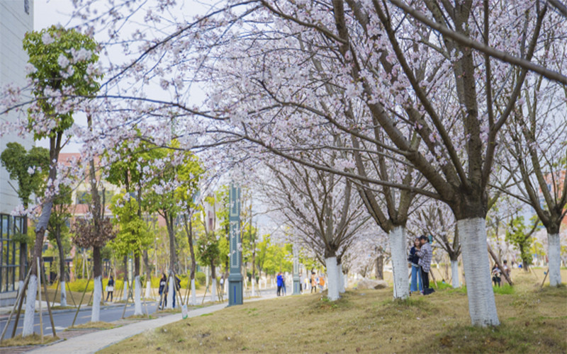 遵义师范学院校园风景