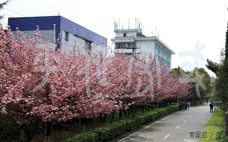 贵州民族大学校园风景