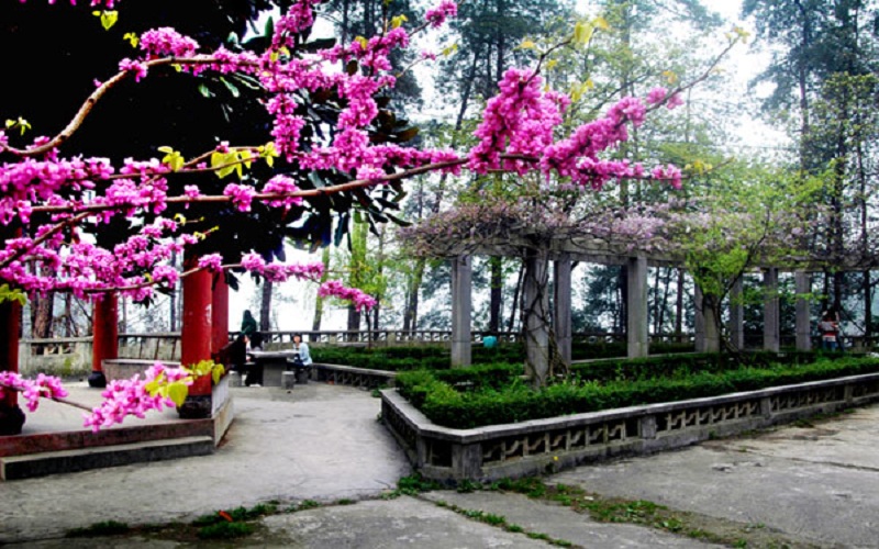 黔南民族医学高等专科学校校园风景