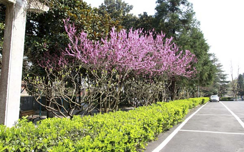 贵州航天职业技术学院校园风景