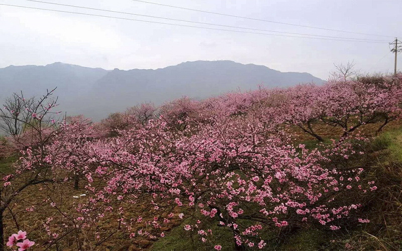 黔南民族职业技术学院校园风景