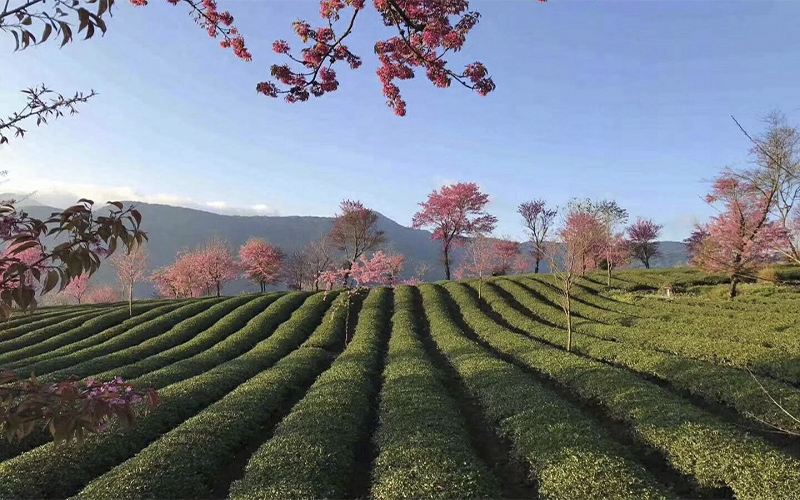 黔南民族职业技术学院校园风景