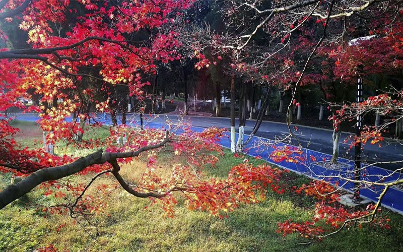 黔南民族职业技术学院校园风景