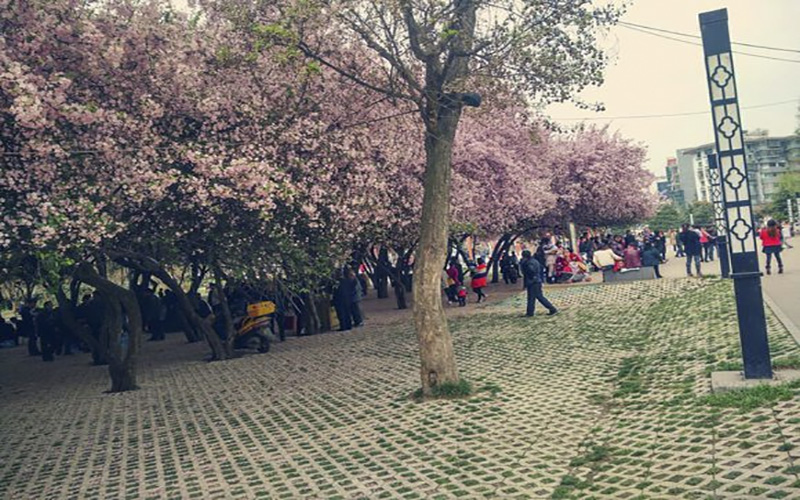 毕节职业技术学院校园风景