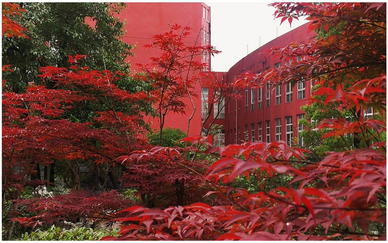 铜仁幼儿师范高等专科学校校园风景