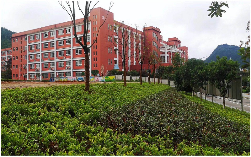 铜仁幼儿师范高等专科学校校园风景