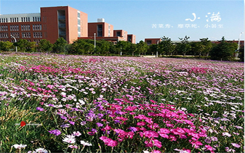 昆明医科大学校园风景