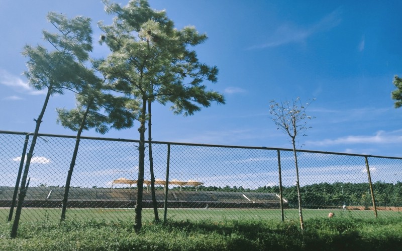 昆明医科大学海源学院校园风景