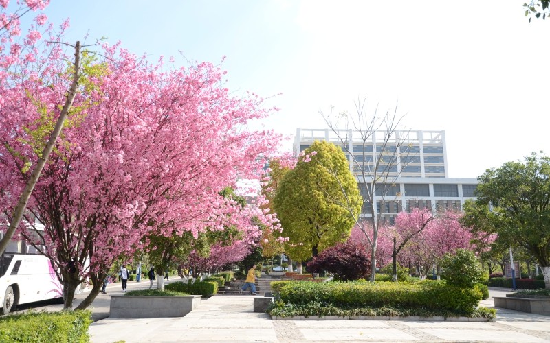 云南工程职业学院校园风景