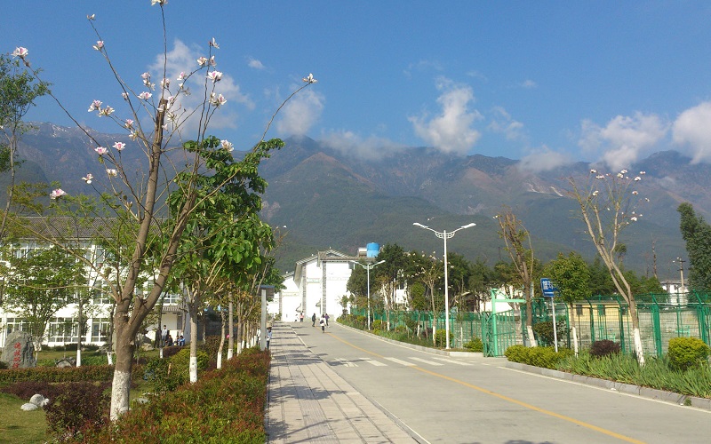 大理农林职业技术学院校园风景