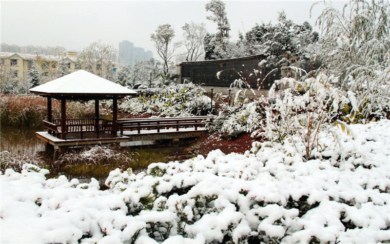 云南工贸职业技术学院校园风景