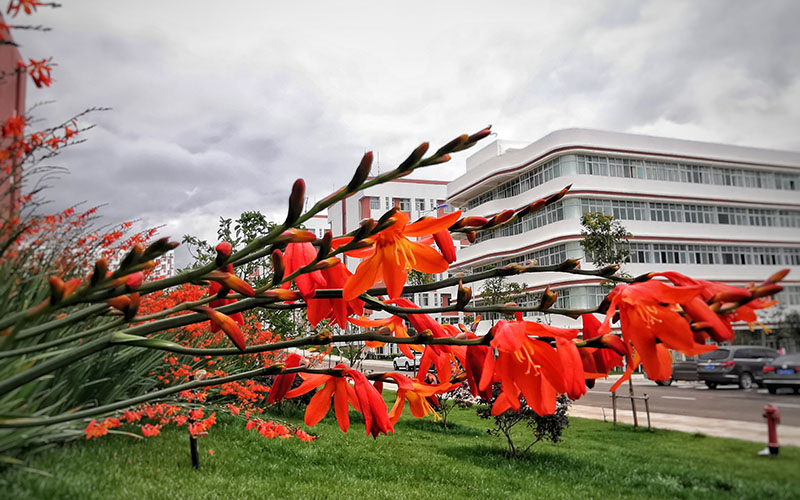 云南理工职业学院校园风景