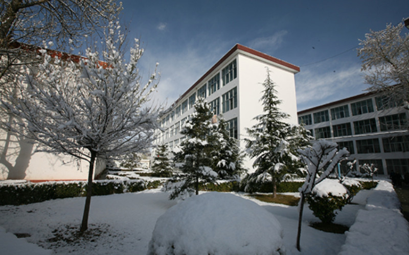 西藏大学校园风景