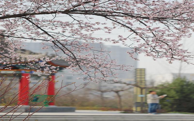 西安工业大学校园风景