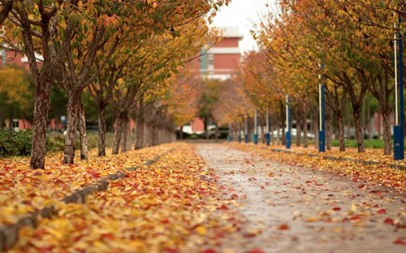 西北农林科技大学校园风景