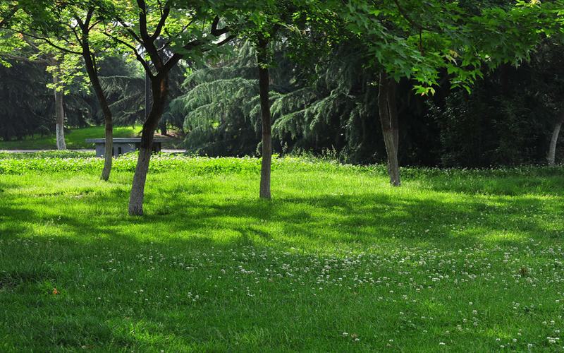 西安欧亚学院校园风景