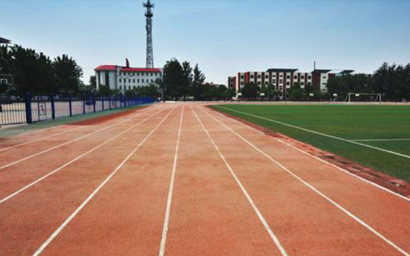 沧州幼儿师范高等专科学校校园风景