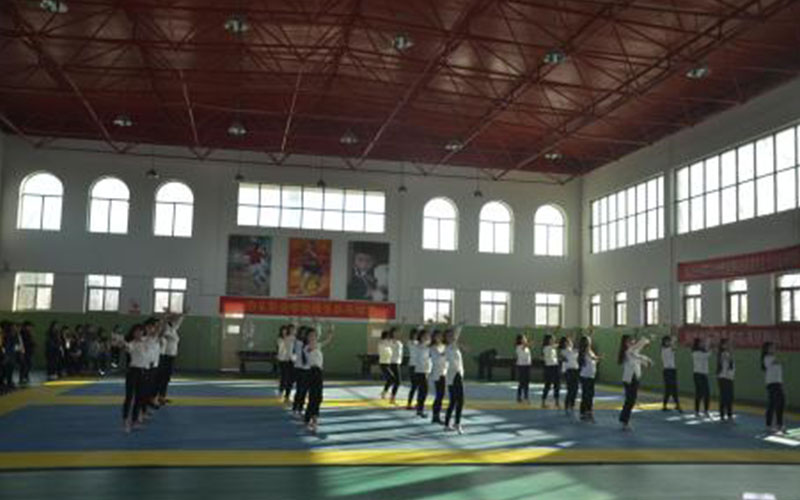 沧州幼儿师范高等专科学校校园风景