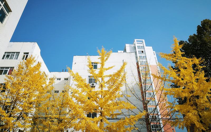 陕西机电职业技术学院校园风景