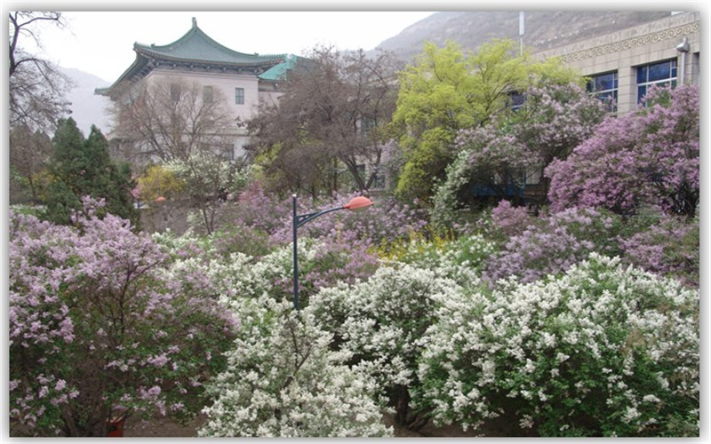 西北民族大学校园风景