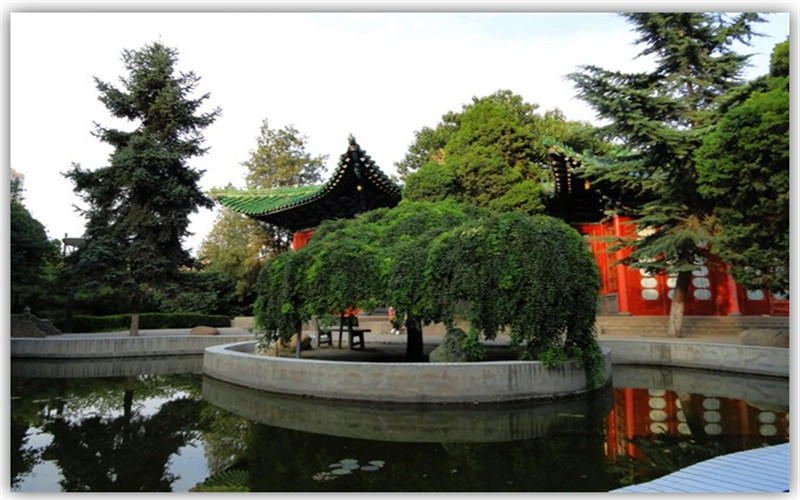 西北民族大学校园风景