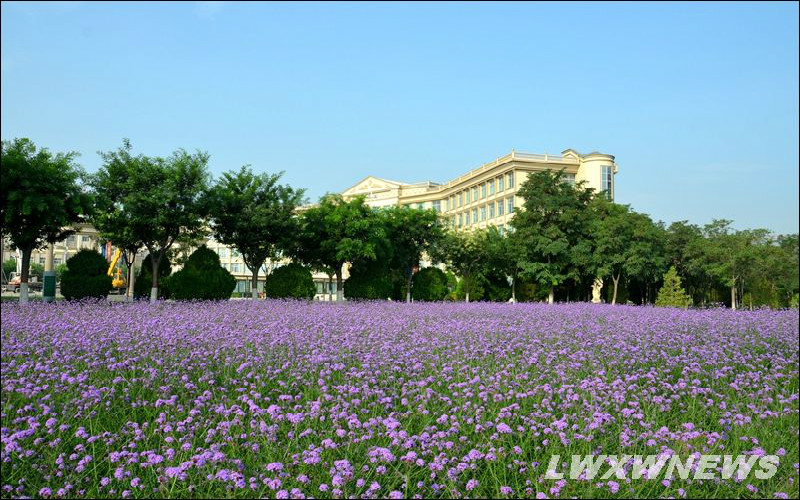 兰州外语职业学院校园风景