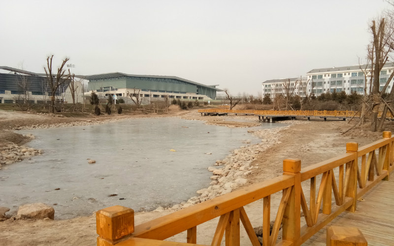 青海师范大学校园风景