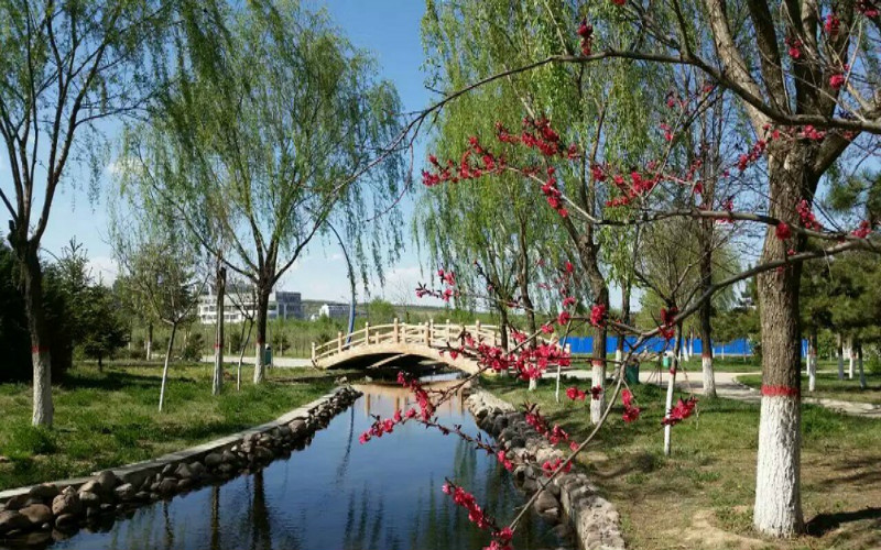 宁夏师范学院校园风景