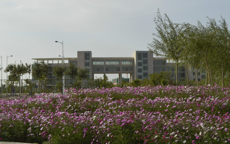 宁夏理工学院校园风景