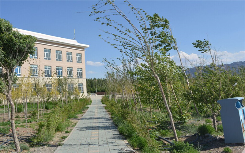 新疆能源职业技术学院校园风景