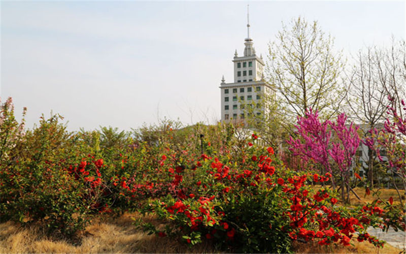 哈尔滨工业大学(威海)校园风景