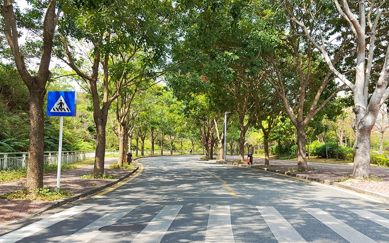 哈尔滨工业大学(深圳)校园风景