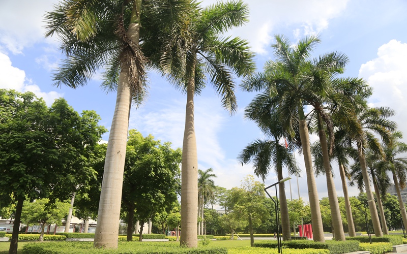 哈尔滨工业大学(深圳)校园风景