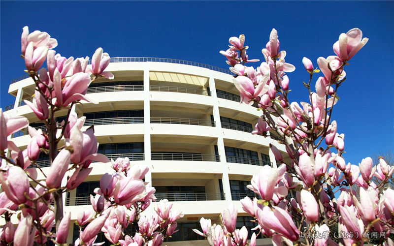 山东大学威海分校校园风景