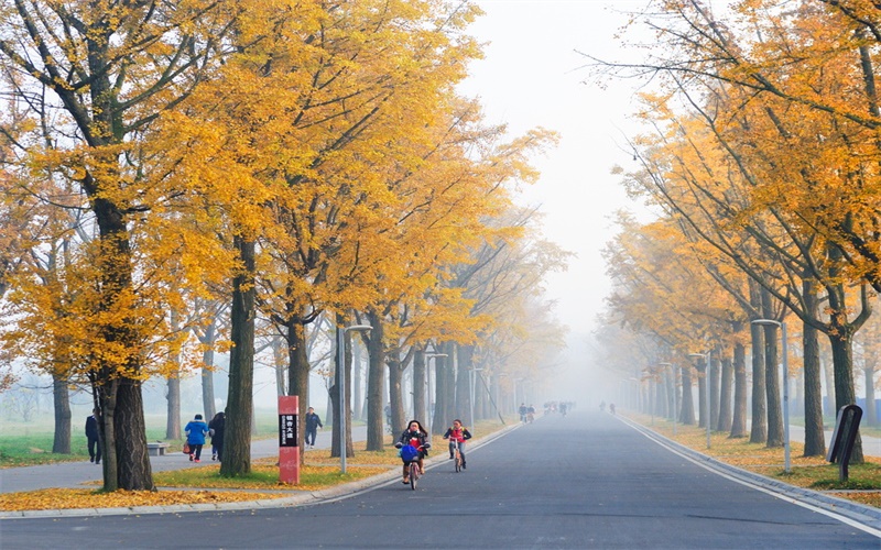 电子科技大学(沙河校区)校园风景