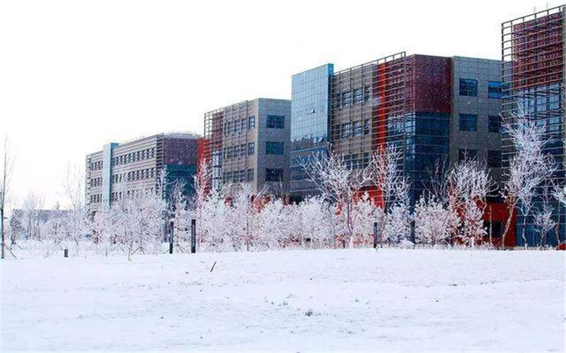 中国石油大学(北京)克拉玛依校区校园风景