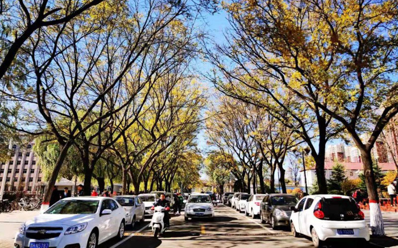 太原科技大学校园风景