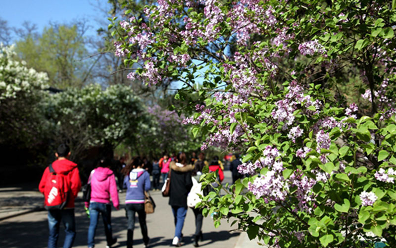 山西农业大学校园风景