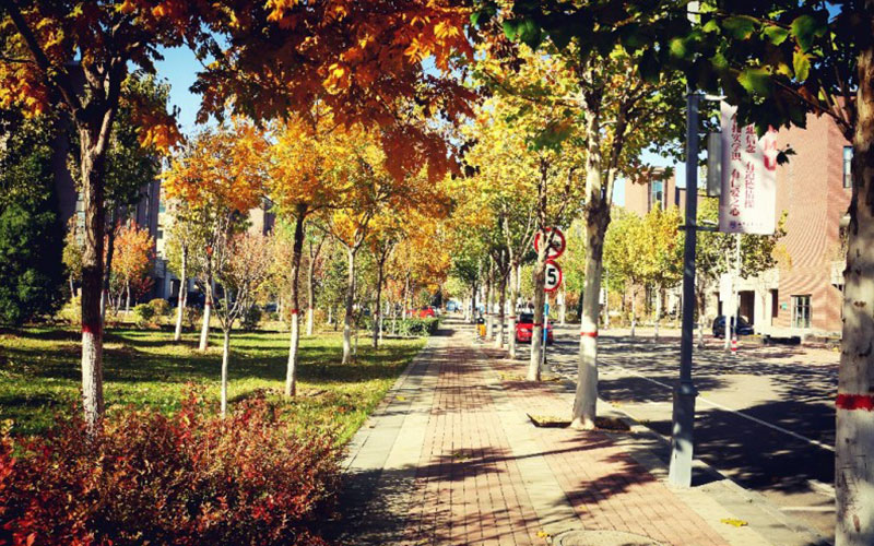 山西医科大学校园风景