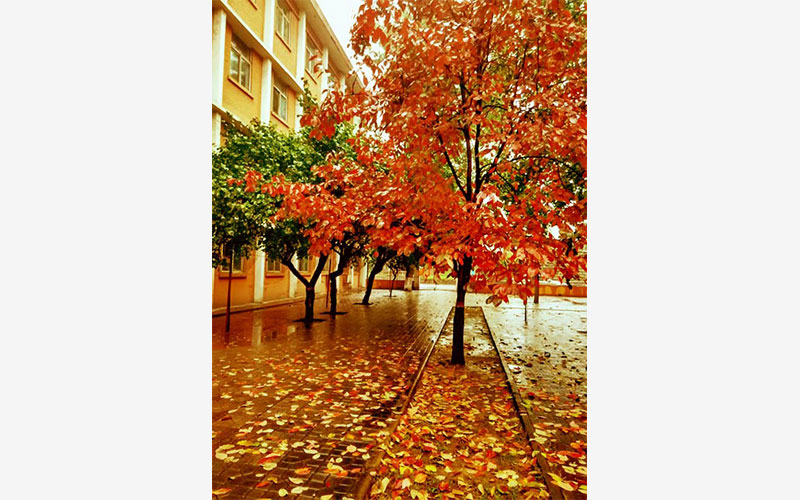 山西师范大学校园风景