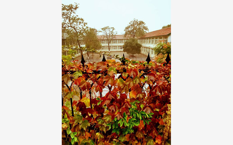 山西师范大学校园风景