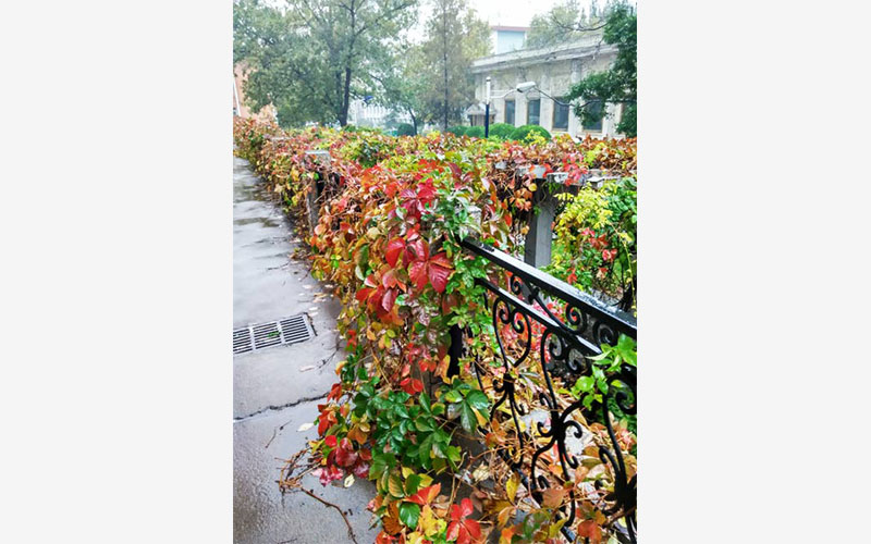 山西师范大学校园风景