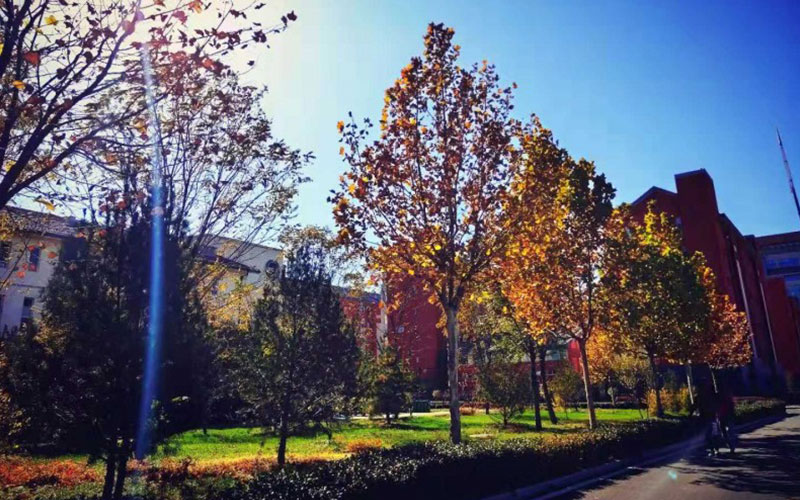 晋中学院校园风景