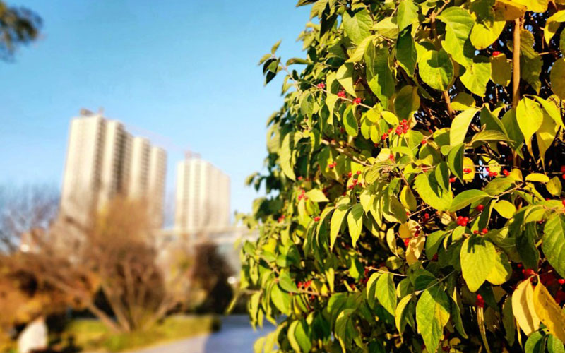 山西财经大学校园风景