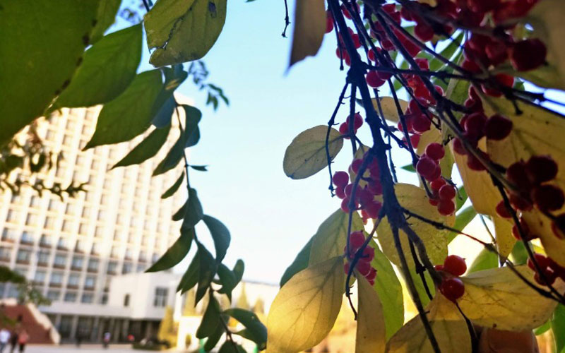 山西财经大学校园风景