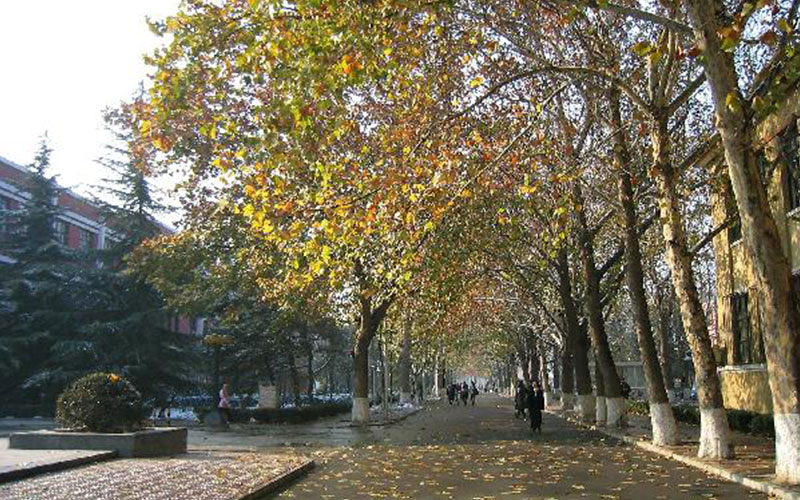 北京语言大学校园风景