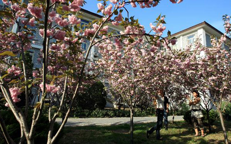 北京语言大学校园风景