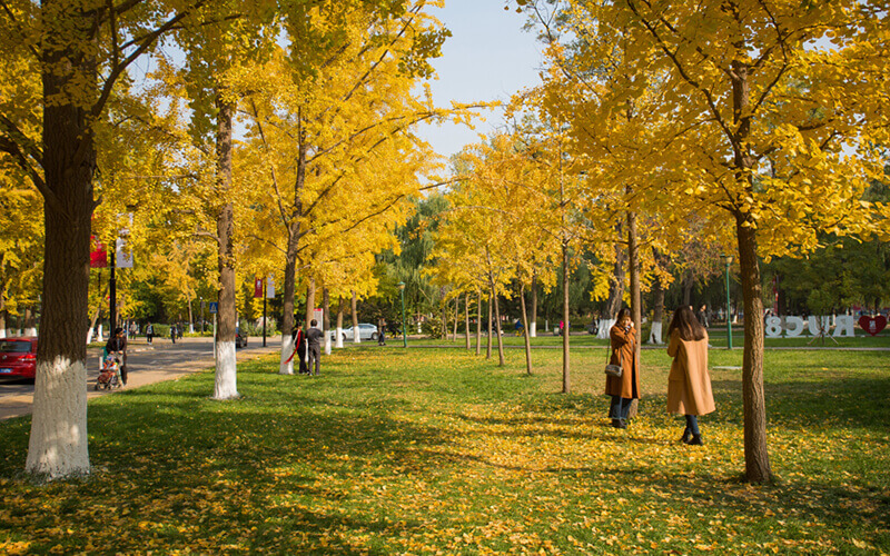 中国人民大学校园风景